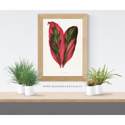 Replica d'Arte su Legno Dracaena terminalis di Redouté Design Botanico