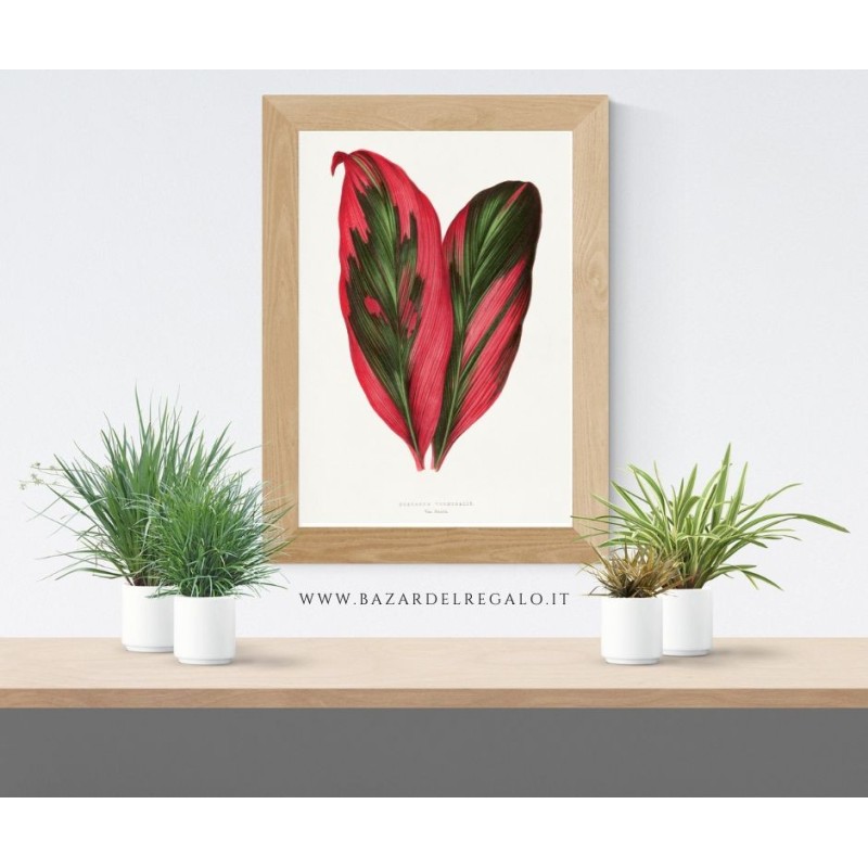 Replica d'Arte su Legno Dracaena terminalis di Redouté Design Botanico