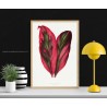 Effetto materico su legno - Illustrazione botanica di Pierre-Joseph Redouté