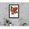 arte botanica legno, lampone Shaffer's Colossal illustrazione,