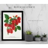 decorazione legno ecosostenibile, Abraham Jacobus Wendel stampa botanica XIX secolo, arredamento natura, frutta botanica arte