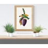Illustrazione botanica tropicale - Grimpereau Pinson su un fiore di banano