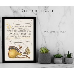 Mira Calligraphiae Monumenta replica
