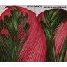 Replica d'Arte su Legno Dracaena terminalis di Redouté Design Botanico