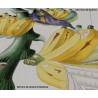 Replica d'Arte su Legno Uccello tropicale Banane Design Naturalistico