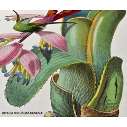 Replica d'Arte su Legno  Colibrì e farfalla su infiorescenza tropicale