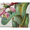 Replica d'Arte su Legno  Colibrì e farfalla su infiorescenza tropicale