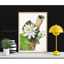 Replica botanica su legno - Ninfea di Mary Vaux Walcott