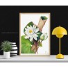 Replica botanica su legno - Ninfea di Mary Vaux Walcott