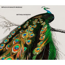 Replica d'Arte su Legno - Pavo cristatus di Alcide d'Orbigny
