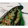 Replica d'Arte su Legno - Pavo cristatus di Alcide d'Orbigny