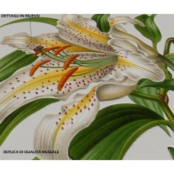 Replica d'Arte su Legno - Lilium Speciosum Imperiale di Wendel - Eleganza Botanica