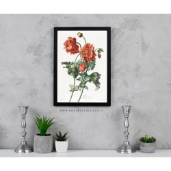 illustrazione botanica legno ecosostenibile, replica incisione botanica