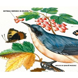 James Bolton fragole e fauna, illustrazione naturalistica ecosostenibile