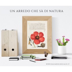 arte rinascimentale su legno, illustrazione fiore rosso vespa, Mira Calligraphiae...