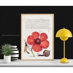Decorazione calligrafica e naturalistica su legno - Fiore, vespa e chiocciola