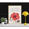 Decorazione calligrafica e naturalistica su legno - Fiore, vespa e chiocciola