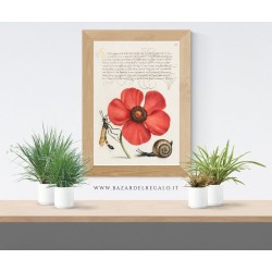 Replica rinascimentale su legno - Fiore rosso con vespa e chiocciola dal Mira Calligraphiae Monumenta