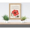 Replica rinascimentale su legno - Fiore rosso con vespa e chiocciola dal Mira Calligraphiae Monumenta