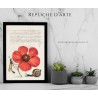 arte rinascimentale su legno, illustrazione fiore rosso vespa
