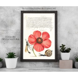 Replica su Legno - "Fiore rosso con vespa e chiocciola" dal Mira Calligraphiae Monumenta