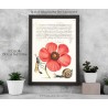 Replica su Legno - "Fiore rosso con vespa e chiocciola" dal Mira Calligraphiae Monumenta