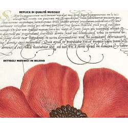 decorazione naturalistica legno ecosostenibile, calligrafia gotica e arte naturalistica
