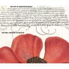 decorazione naturalistica legno ecosostenibile, calligrafia gotica e arte naturalistica